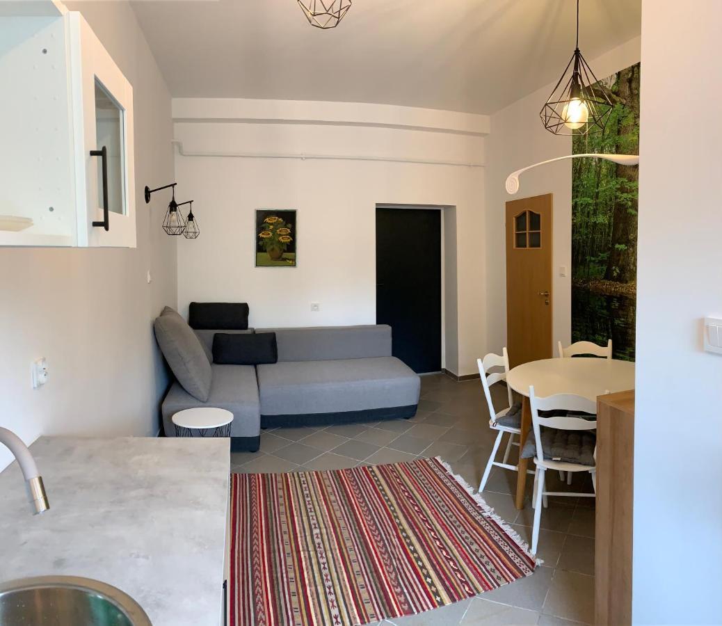Apartamenty Stacja レシェル エクステリア 写真